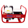 Электростанция Endress ESE 60 DBS profi